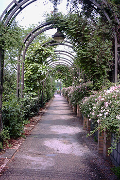 Jardin de l'Arsenal