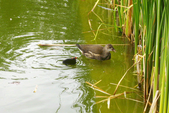 Parc de Bercy