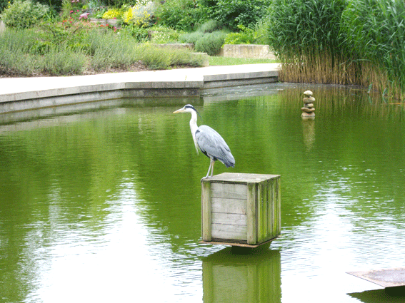 Parc de Bercy