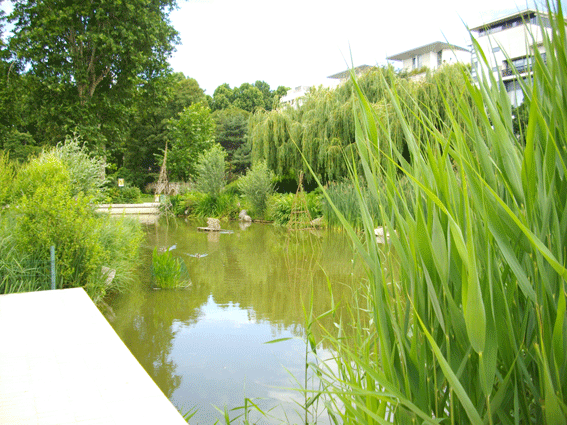 Parc de Bercy