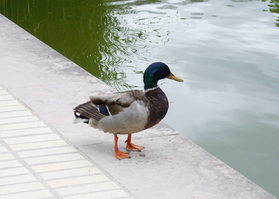 Parc de Bercy